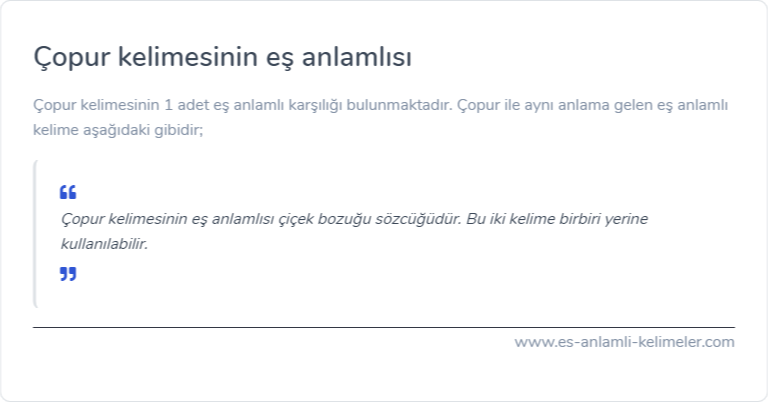 Çopur es anlamlisi ne?